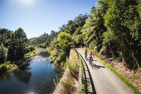 Top North Island Trail – Sinch Bikes