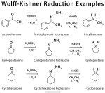 Wolff-Kishner Reduction: Definition, Examples, and Mechanism