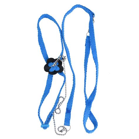 Buy Bird Harness and Leash Adjustable Parrot Harness Anti-Bite Flying Training Rope Pet Outdoor ...