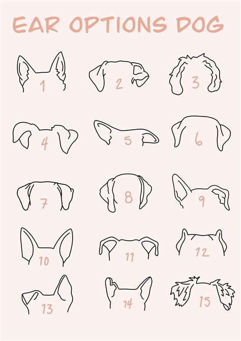Piercing Tattoo, Ear Tattoo, Piercings, Tattoo Perro, Ear Images, Dog Line Drawing, Line Tattoos ...