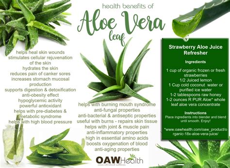 Health Benefits of Aloe Vera Leaf - OAWHealth.com