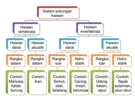 8.1 sistem sokongan haiwan