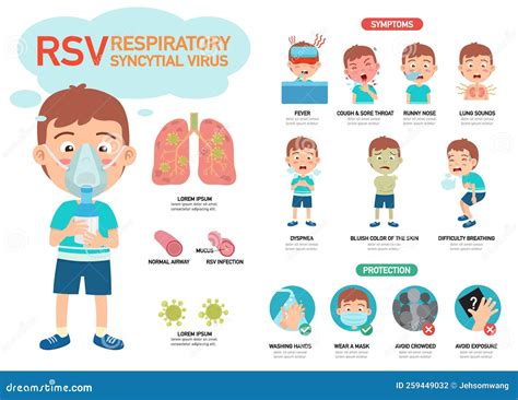 RSV Respiratory Syncytial Virus Infographic Stock Vector - Illustration ...