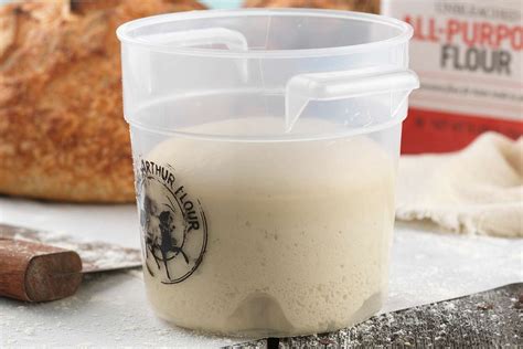 Stiff Sourdough Starter Recipe | King Arthur Baking