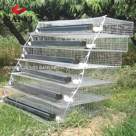 China New Design Laying Quail Breeding Cages for Egg Production - China ...