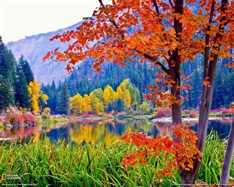 Fall Colors Desktop Wallpaper - WallpaperSafari