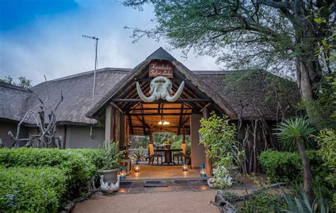 Kambaku Safari Lodge - Family-Friendly Safari - Timbavati Private Nature Reserve