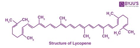 Tabulated Differences between Lycopene and Beta Carotene