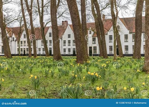 Yellow Spring Flowers in Park in Bruges, Belgium Stock Image - Image of cityscape, beautiful ...