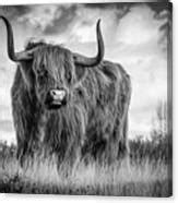 Scottish Bull On A Hill - Black And White Animals Art Photo Photograph by Wall Art Prints - Fine ...