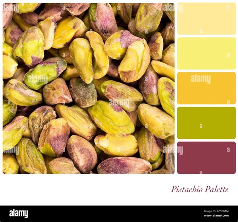 A background of shelled pistachio nuts, in a colour palette with ...