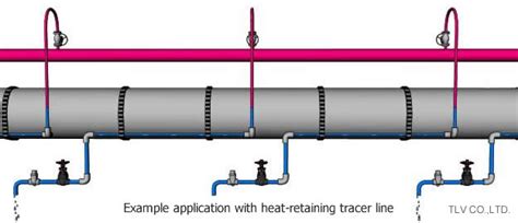 Applications of Different Types of Steam Traps | TLV