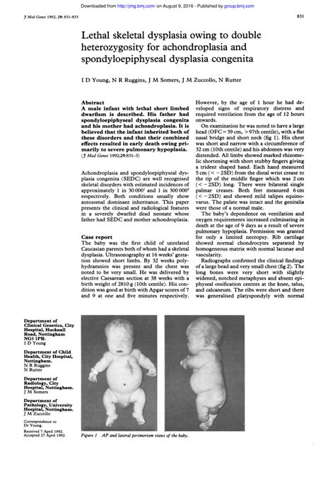 Spondyloepiphyseal Dysplasia Dwarfism