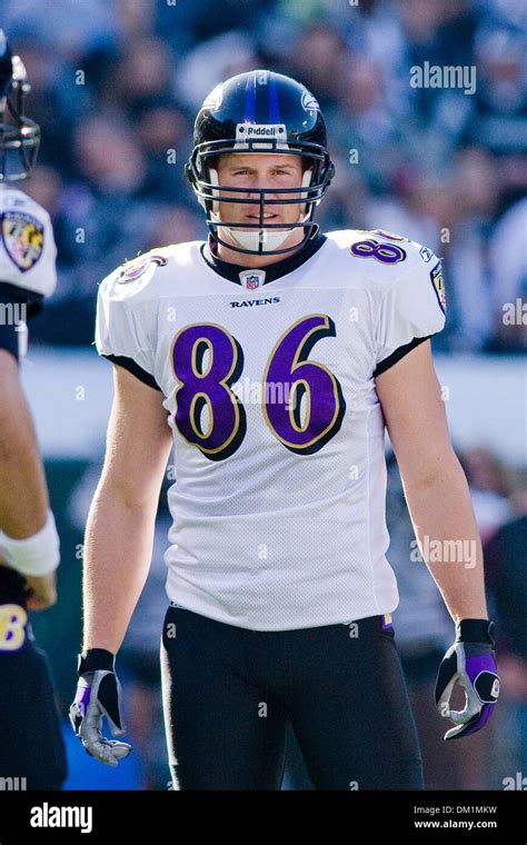 Ravens tight end Todd Heap (86) during game action at the Oakland Stock Photo, Royalty Free ...