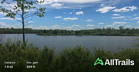 Moss Lake Trail, Alberta, Canada - 569 Reviews, Map | AllTrails