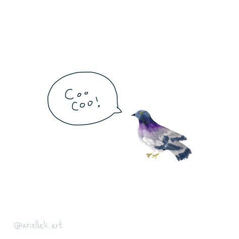 Pigeon Cooing Illustrated Animation on Behance