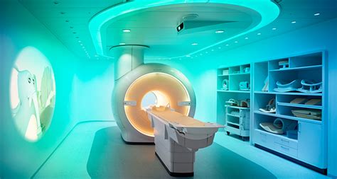 What Are Different Types of MRI Scans? – Know the Difference