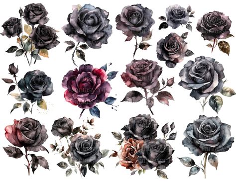 Dark Roses Clipart Pack Watercolor Clipart Watercolor - Etsy