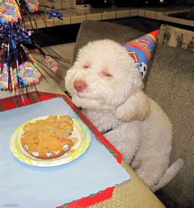 dogs singing happy birthday gif - Expose Forum Photo Galery