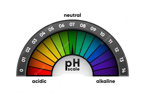 Premium Vector | PH scale meter for acidic and alkaline solutions ...