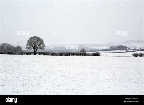 Ashford, Kent. 27th Feb, 2018. UK Weather. Snow covered country road Stock Photo: 175812176 - Alamy