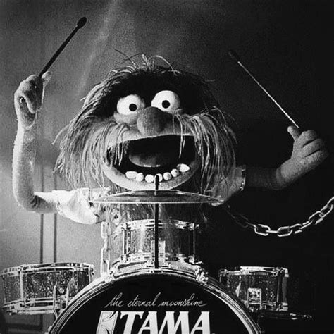 Awasome Animal Muppet Drummer Gif 2022