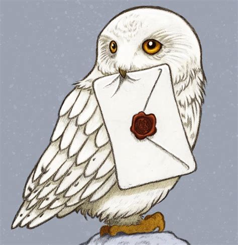 How To Draw Hedwig at How To Draw