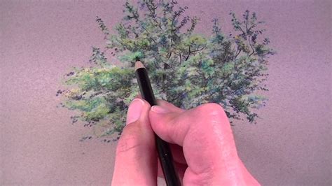 Coloring Trees With Colored Pencils - Coloring Walls