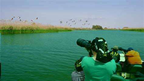 Private Guided Photography Day Trip | Discover Danube Delta