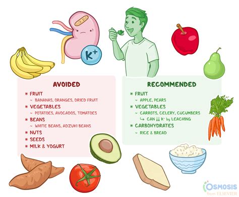 Low Potassium Diet: What Is It, Uses, Foods to Avoid and Include, and More | Osmosis