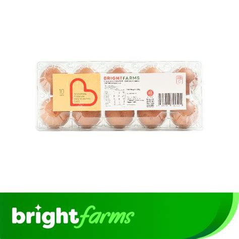 brightfarms Singapore Premium (Pasteurized) Eggs 10pcs x 55g (Chilled ...