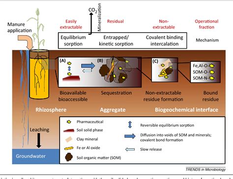 Figure 1 from Fate and effects of veterinary antibiotics in soil ...