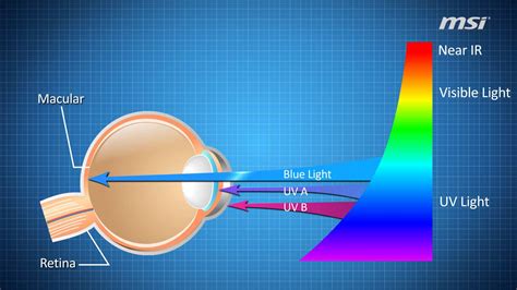 Blue Light Filter Effect On Eye Protection Uv Light - Uv Light Blue ...