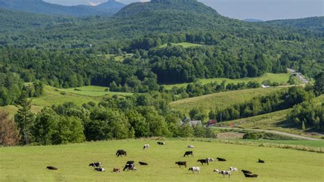 Cheese Lovers Can Eat Their Way Through This Scenic, Tasty Northeastern Road Trip