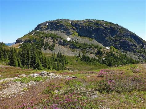 Mount Davis from The HBC (1849) Trail. Jul 25 10 - ClubTread Community