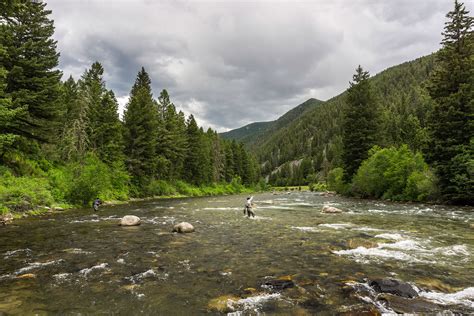 Taking Up Fly Fishing - 5 Basic Tips for Fly Fishing Beginners | The Fly Fishing Basics