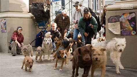 Hotel for Dogs (2009) - About the Movie | Amblin