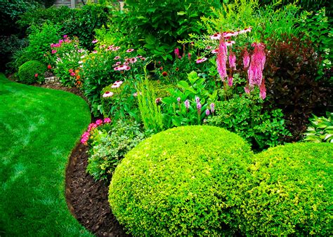 Choosing Shrubs for All-year Interest | The Tree Center™