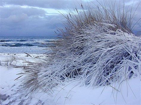 winter beach - Denmark | Winter beach, Winter scenes, Denmark