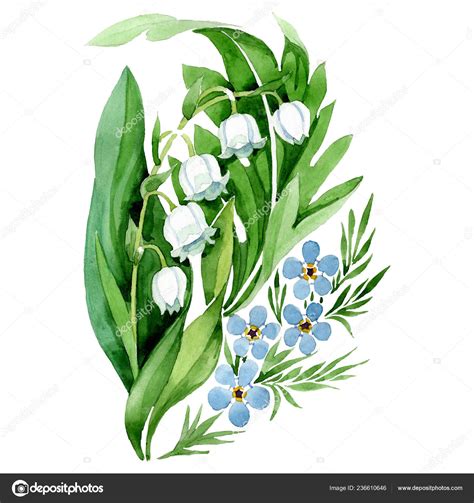 Lily of the valley bouquet flower. Watercolor background illustration set. Isolated forget me ...