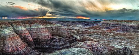 Conscience Letters from the Cursed Thieves of Triassic Park | Petrified forest national park ...