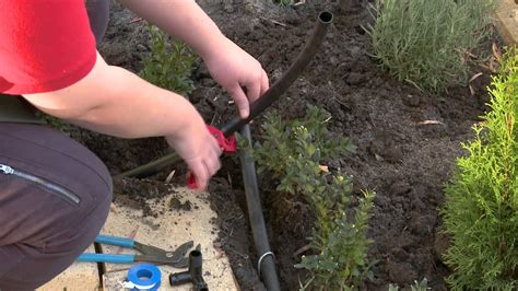 How To Install Pop Up Sprinklers - DIY At Bunnings - Herbal Plant Power