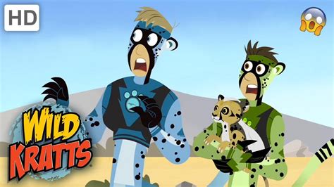 Wild Kratts | AWESOME Animals|Cheetahs - YouTube