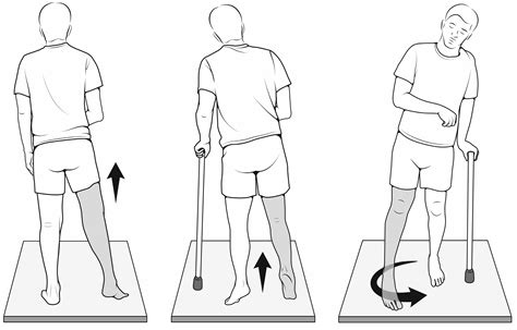 Applied Sciences | Free Full-Text | The Relationship between Gait ...