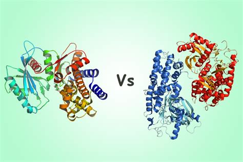 Hexokinase Vs Glucokinase : Definition, Mechanism And Function