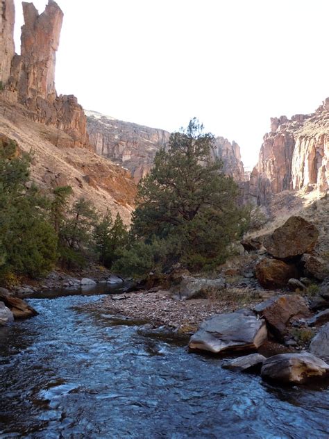 Ricks Reel Adventures: Jarbidge River, ID