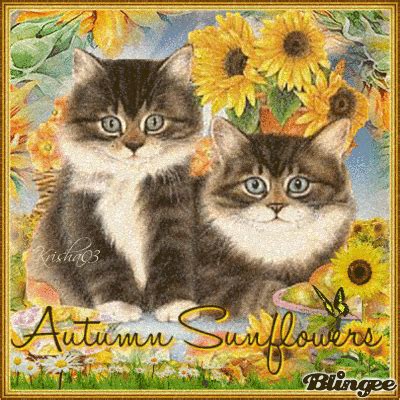 Cats & Sunflowers Picture #137364003 | Blingee.com