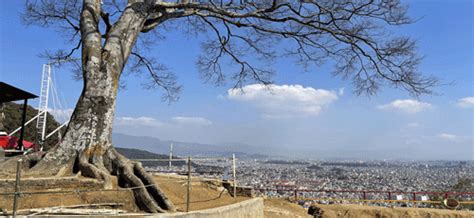 Single Tree Hill - Enjoy Swing Near Swayambhu, Kathmandu