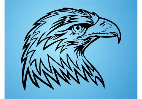 Eagle Head - Download Free Vector Art, Stock Graphics & Images