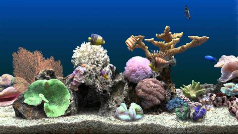 Marine Aquarium Virtual Fishtank | Ciclideos